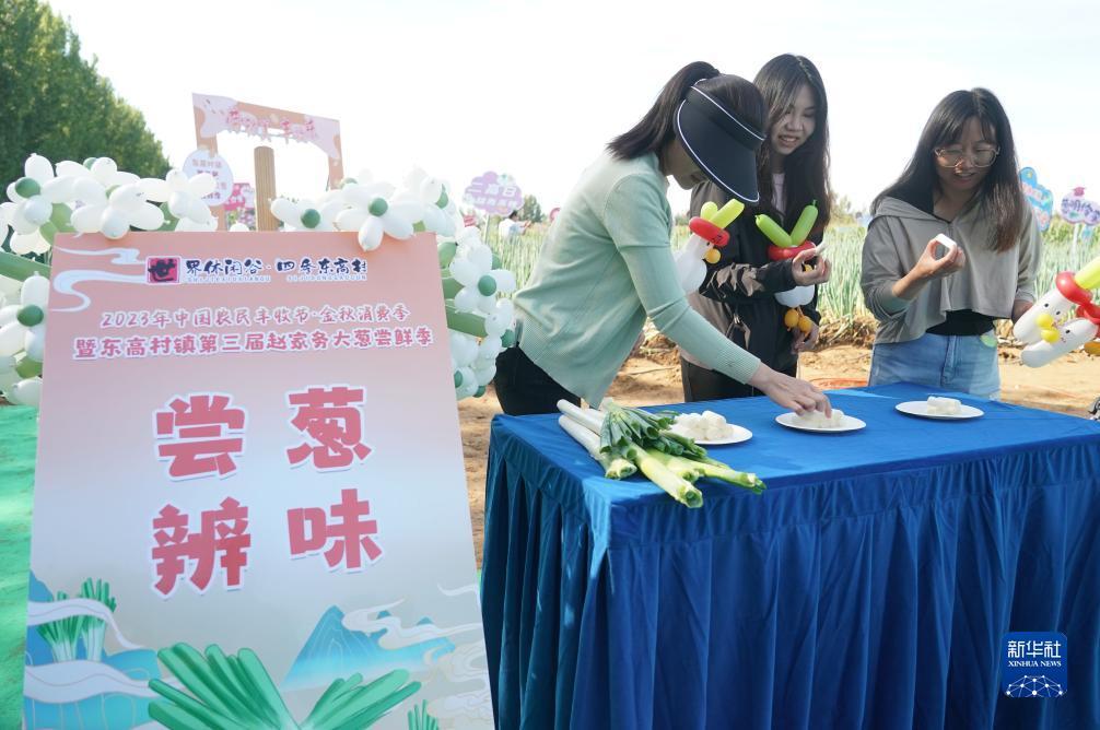 糖果派对官方网站